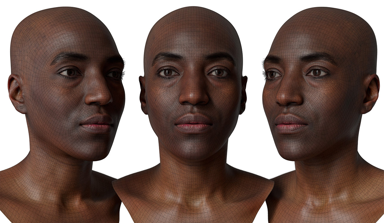 head model wireframe mesh